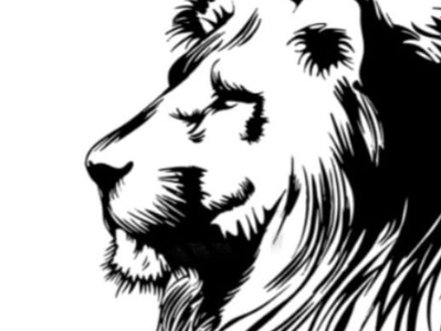 For_miss_lyme avatar