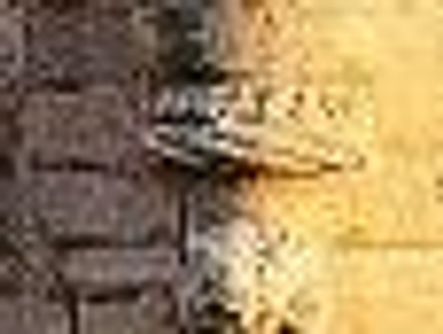 harderl0la avatar