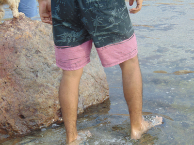 todocurioso avatar